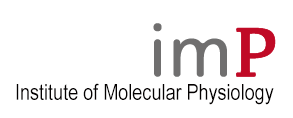 Institute of Molecular Physiology (imP)