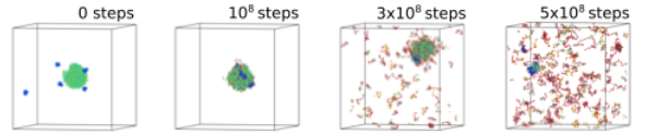 TDP-43 phosphorylation