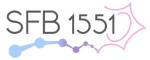 CRC/SFB 1551